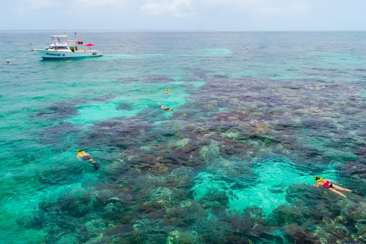 Snorkel boat at coral reef in Key Largo