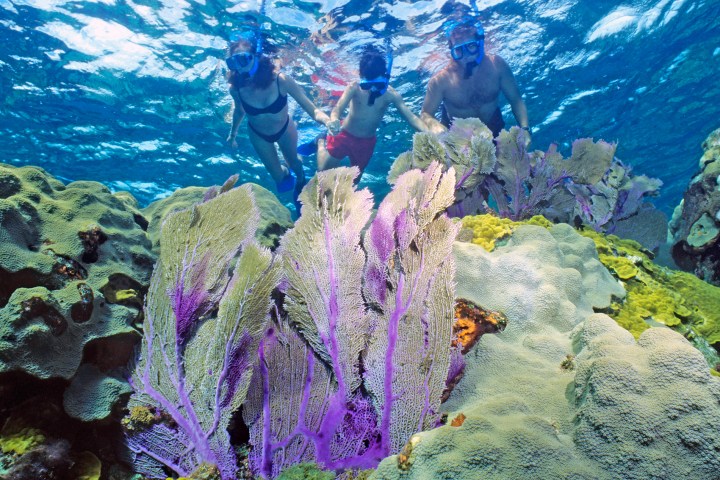 family snorkeling over coral reef in Key Largo