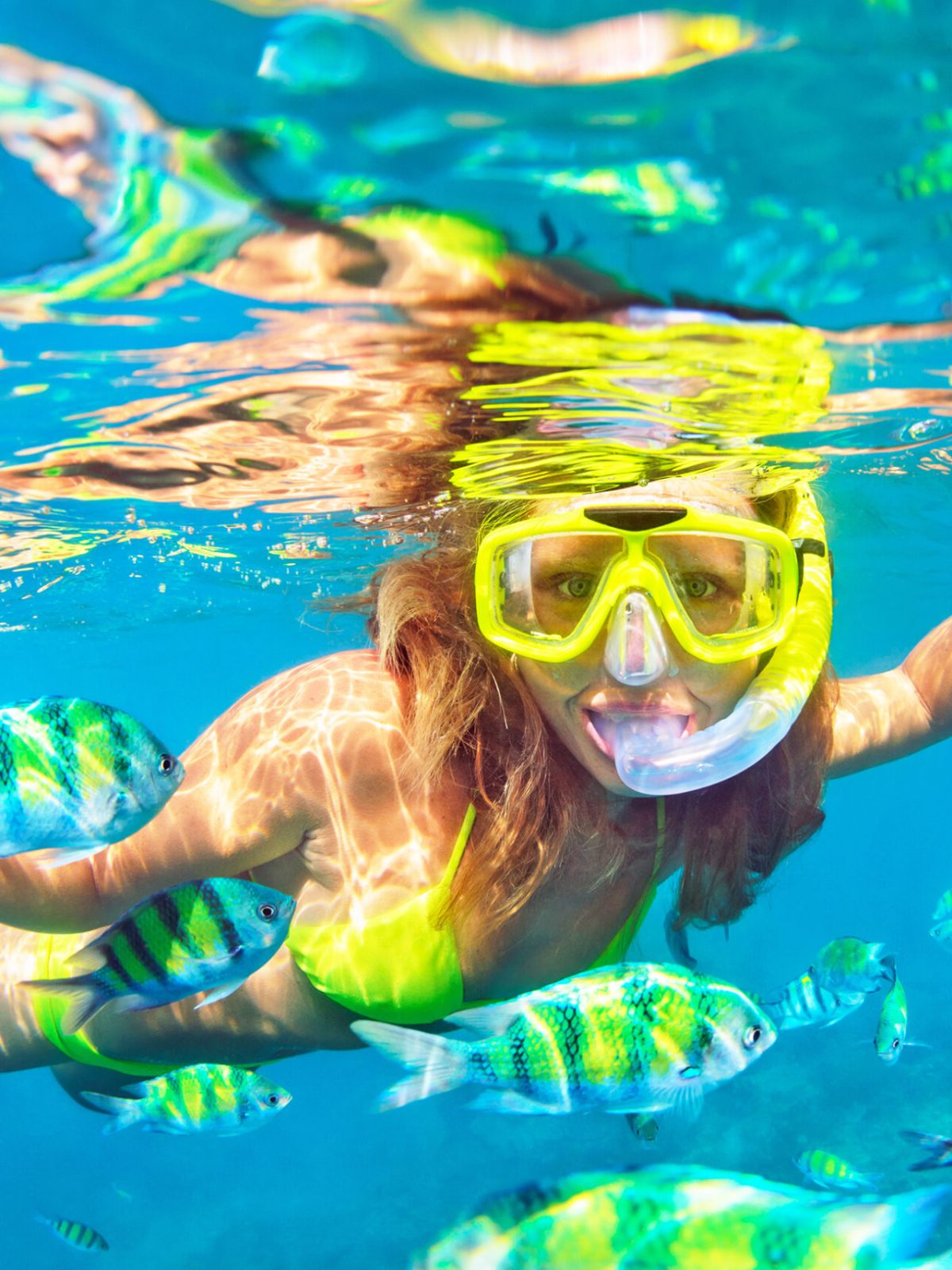 Tourist with snorkeling mask underwater with fishes school at coral reef