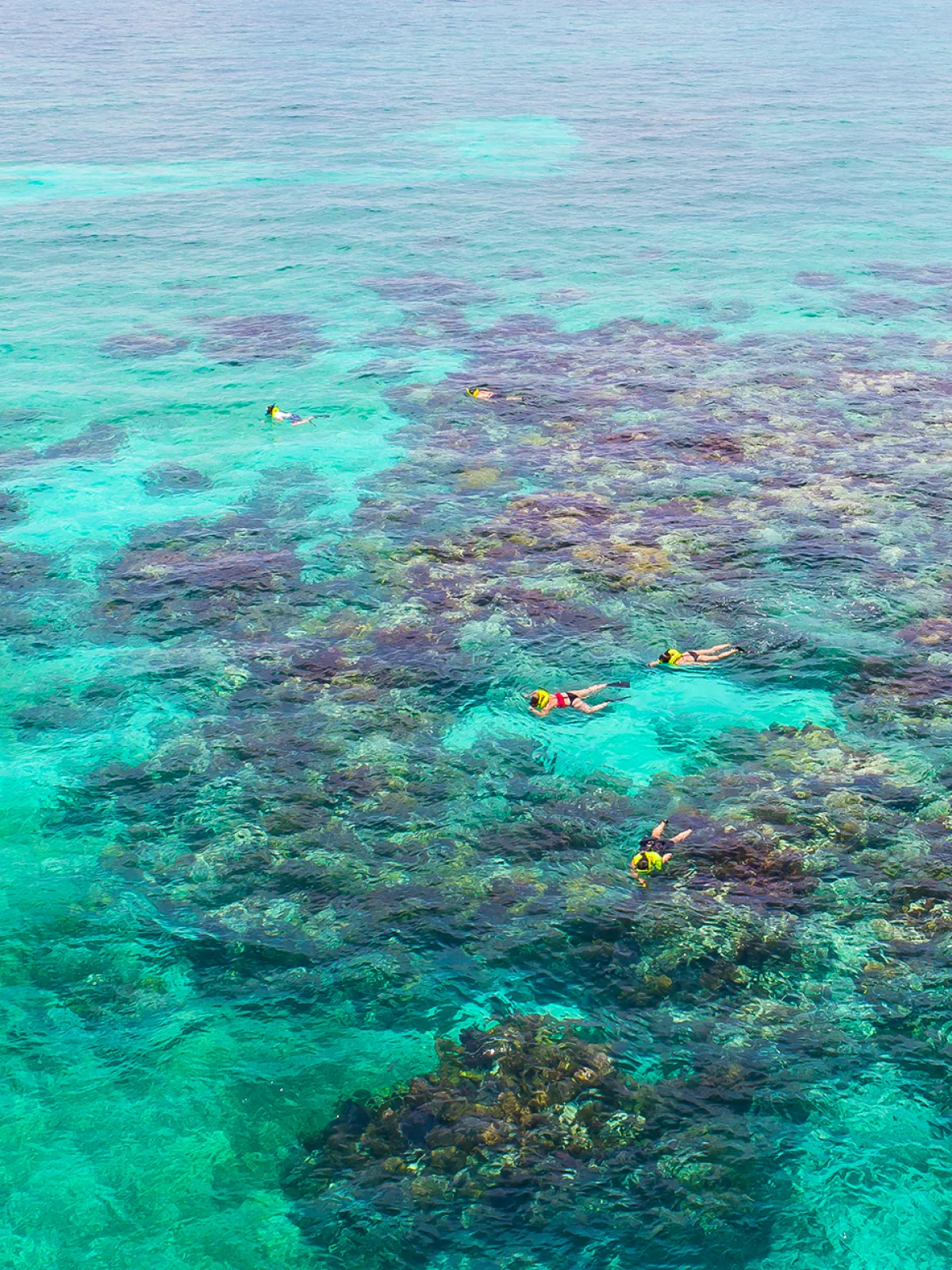 Sundiver snorkel boat sitting at a white banks coral reef offshore Key Largo
