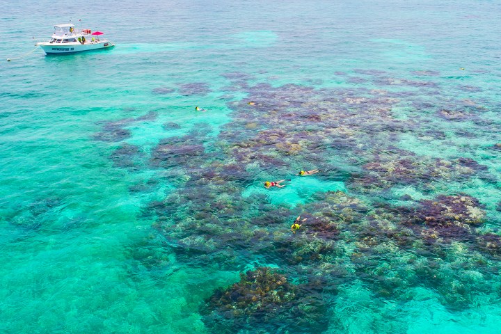 Sundiver snorkel boat sitting at a white banks coral reef offshore Key Largo