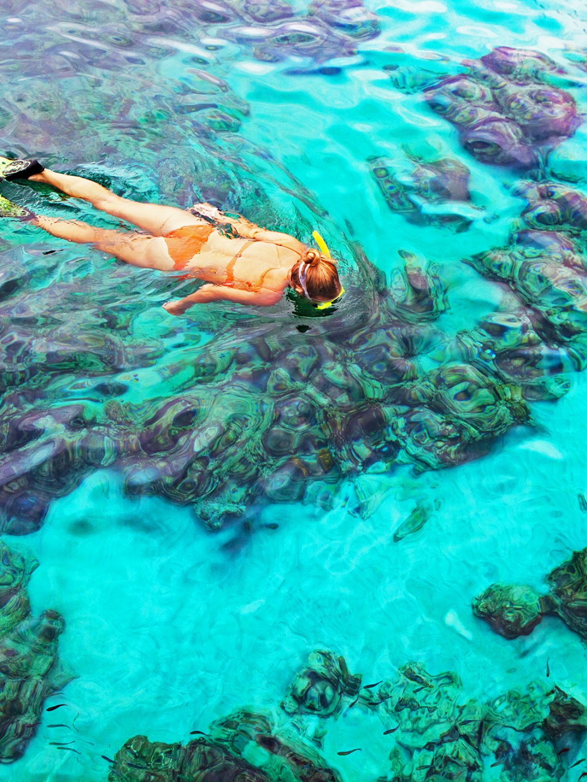 Woman snorkeling at Key Largo coral reefs