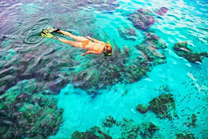 Woman snorkeling at Key Largo coral reefs